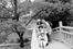 lake tour - group on bridge.jpg